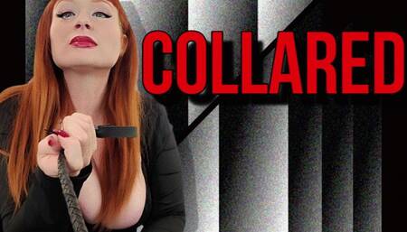 Collared WMV