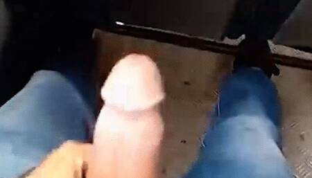 Ripe cock and cum on the bus