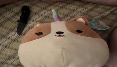 Squishmallow Gets a Happy Ending