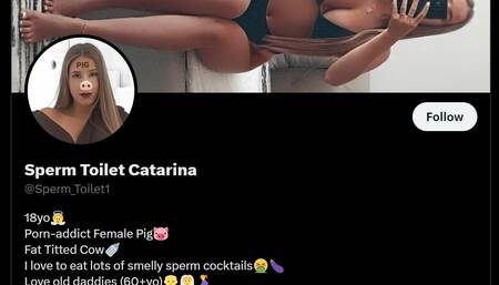 Vaca Leiteira Catarina Couto