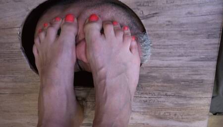 REA - Faceboxing Day - EXTREME Facestanding And Domination Fun