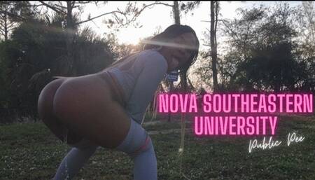 NOVA SOUTHEASTERN UNIVERSITY PUBLIC PEE