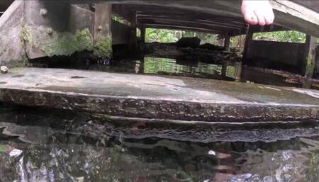 Liz does Beautiful Underwater Dances in a long orange gown in a cenote in Mexico! So BEAUTIFUL!!