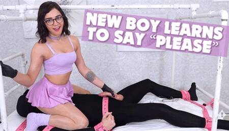 Sky's Sub Begs Politely