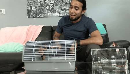 Loser Shrunken & Dominated By Step-Brother & Girlfriend With AcroSuave & Honey Dew (HD 1080p MP4)