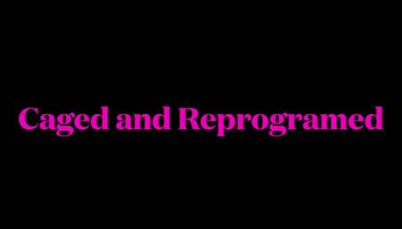 Chastity Reprograming- wmv