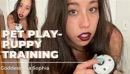 Pet Play- Puppy Training