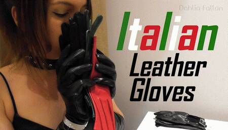 Italian Leather Gloves Try-On
