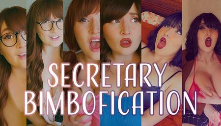 Executive Assistant to Sexcretary Slut