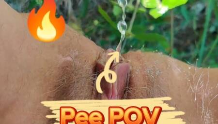 Pee POV on the Palm Plantation