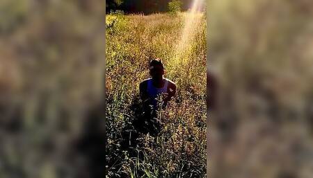 Stripped in field