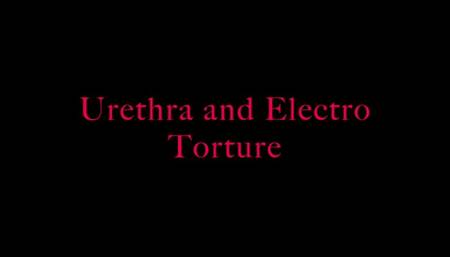 Urethra electro torment- wmv