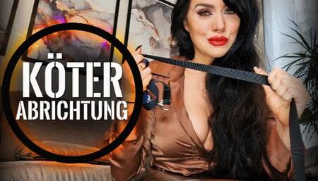 Abrichtung des Köters (kleine Version)