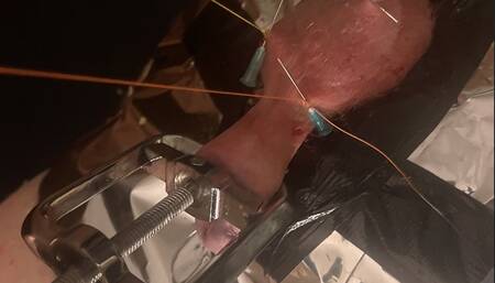 deeptroath a dildo and piercings in your dick to make some nice art out of this worm