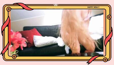 My body is your owner