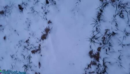 Winter Barefoot Snow Challenge 19 Jan 24