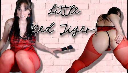 Little Red Tiger