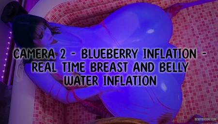 Camera 2 - Blueberry Inflation - Real Time Breast and Belly Water Inflation