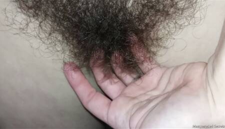 Big Beautiful Bush Showoff January 2024