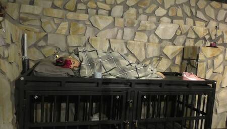 The Maya 72h Challenge - Maya Homerton - The ultimate Bondage Session - Clip 10 - On the Cage - Full Clip wmv SD