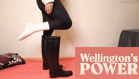 Wellington´s power- Spanish