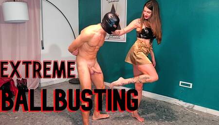Extreme ballbusting
