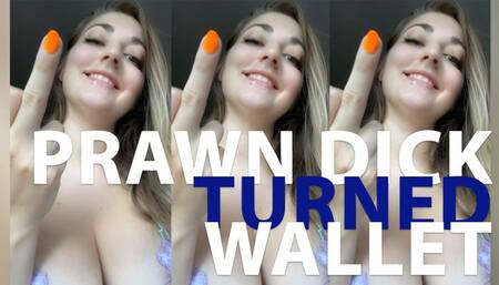 Homewrecked prawn dick turned moneyslave!