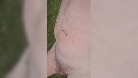 Outdoors in the Field 2