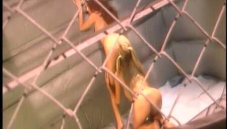 Two Busty Beautiful Lesbian Chicks Play with Each Others Tight Twats