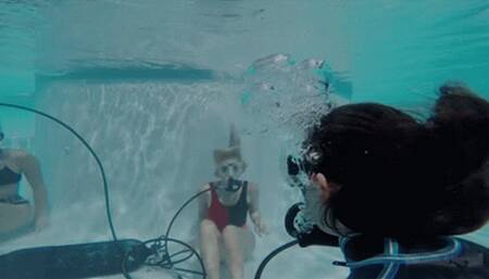 310 - The Pleasant Part of the Work as Scuba Instructor (720p)