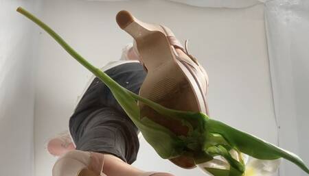 A Crushing Dream in white High Heels - POV Underglass Views on white Heels and Nylons crushing some flowers - Shoefetish - 4k