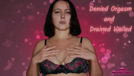 Denied Orgasm and Drained Wallet - 720p wmv