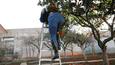 To a party on crutches AVI (1920x1080) FHD