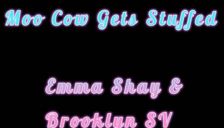 Moo Cow Gets Stuffed