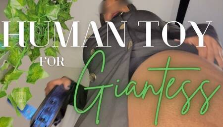 Small Dumb Toy for Giantess