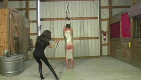 Whipped In Aleana's Barn Part 1 (WMV)