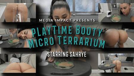 Playtime Booty Micro Terrarium