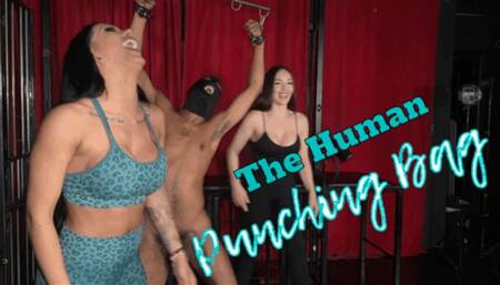 The human punching bag