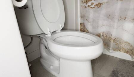 Toilet Slavery & Humiliation - Bathroom Cleaning Trash Talk JOI - Femdom Mommy Chat - Eat up, Dirty Asshole Cleaning, Taboo, Pee Servant & Much More!