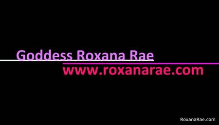 Lonely Loser with a Small Cock