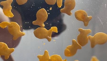 Betty makes fish sausage