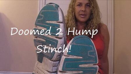 DOOMED TO HUMP STENCH wmv