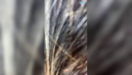 angelica-rose 2024-01-28