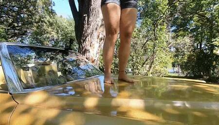 M In Real Car Trample