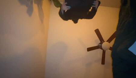 Tiny Friend Gets Stomped