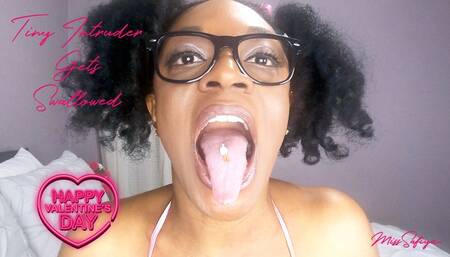 Tiny Intruder Gets Swallowed