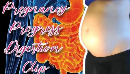 10-11 Week Pregnancy Progress Digestion Clip