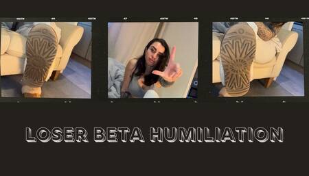 Beta Loser Humiliation