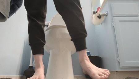 Private Bathroom Comp - Pee in Private Bathroom Toilet 1