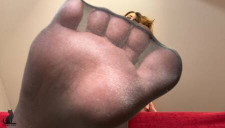 Worship and lick nylon feet of your Goddess - Wolford tights